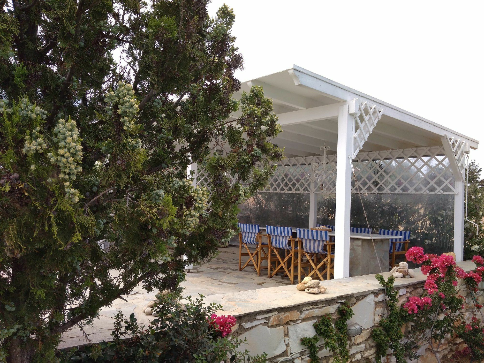 Dryades Family Hotel Drios Bagian luar foto